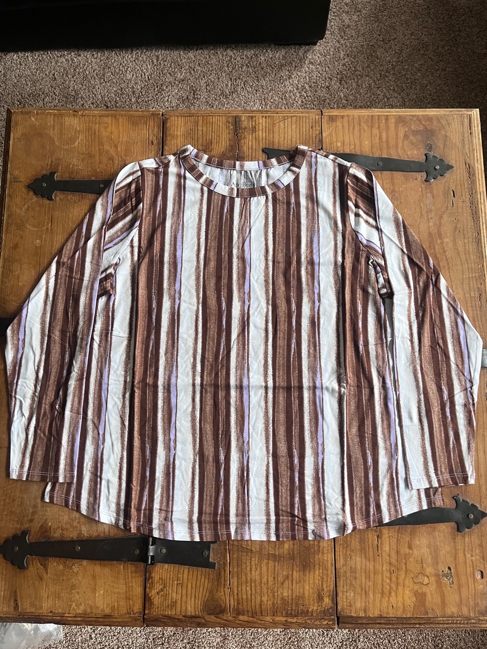 AnyBody Long-Sleeve Striped Tee in Brown & White